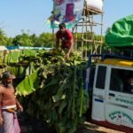 business growth performance analysis