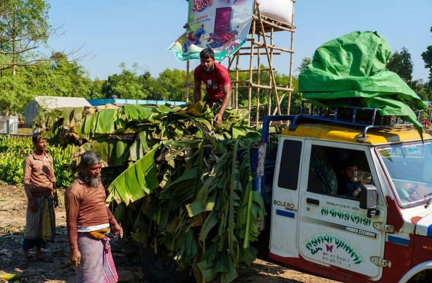 business growth performance analysis