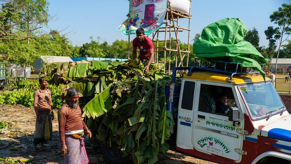 business growth performance analysis